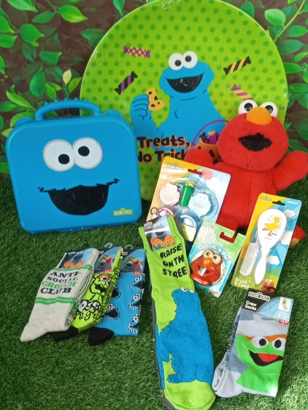 🗑️ REHAB (damaged) Sesame Street Bundle